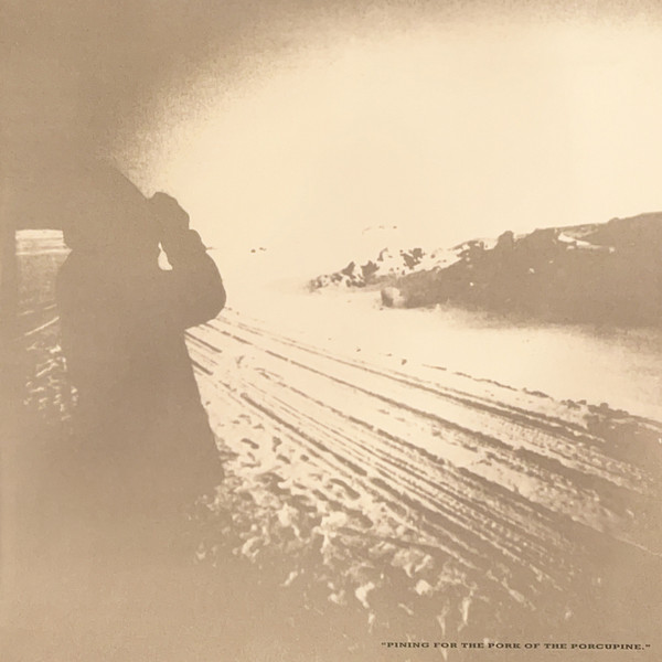 Echo & The Bunnymen - Porcupine | Korova (KODE 6) - 3