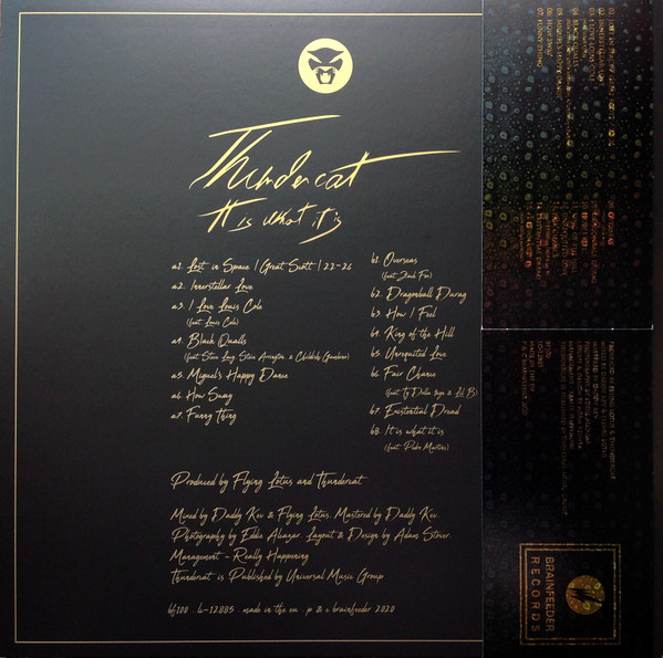 Thundercat - It Is What It Is | Brainfeeder (BF100) - 2 Thundercat - It Is What It Is | Brainfeeder (BF100) - 2
