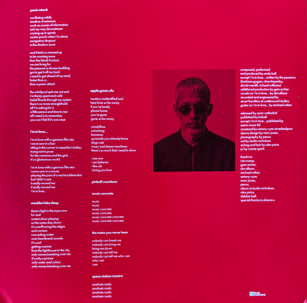 Andy Bell - Pinball Wanderer | Sonic Cathedral (scr300lp) - 4