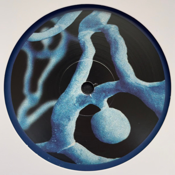 Oye Manny - Living Water | Darker Than Wax (DTW081) - main Oye Manny - Living Water | Darker Than Wax (DTW081) - main