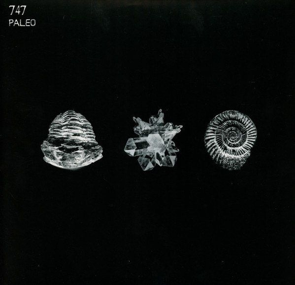 747 - Paleo | Aquaregia (AQR010)