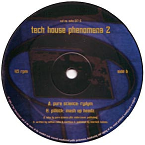 Tech House Phenomena 2