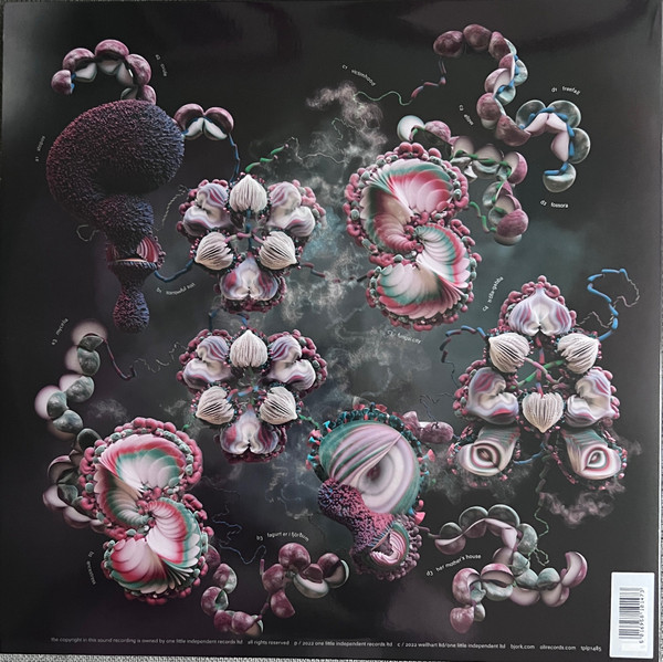 Björk - Fossora | One Little Independent Records (tplp1485L) - 4