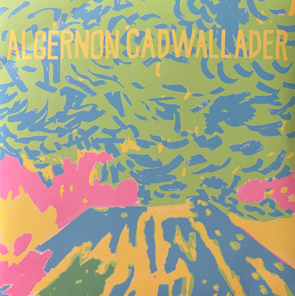 Algernon Cadwallader - Trying Not To Have A Thought | Saddle Creek (LBJ-400)