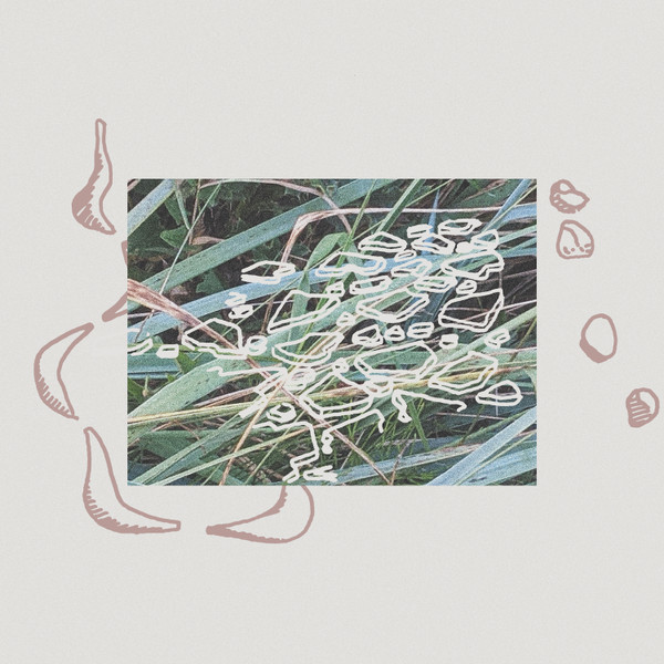 Tristan Arp - Sculpturegardening | Wisdom Teeth (WSDMLP003) - main