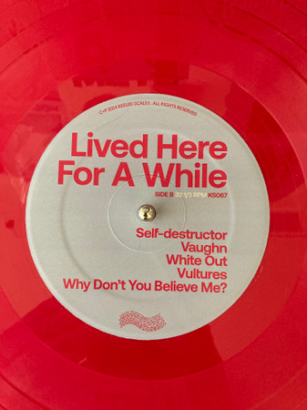 Good Looks - Lived Here For A While | Keeled Scales (KS067) - 4