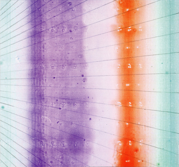 Alabama Shakes - Sound & Color | ATO Records (ATO0269) - 2