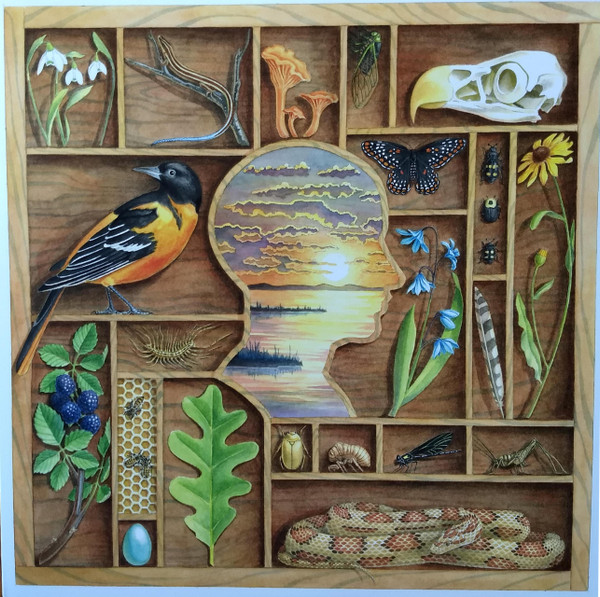 Jon Camp - Headwinds & Tailwinds | Jon Camp (none) Jon Camp - Headwinds & Tailwinds | Jon Camp (none)