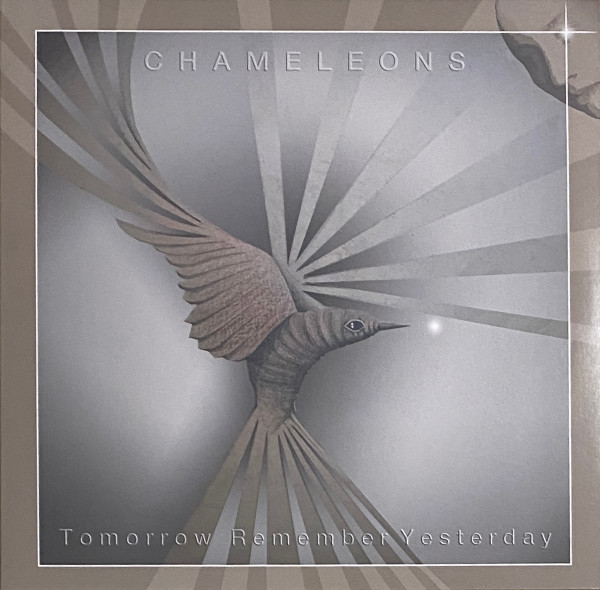 The Chameleons - Tomorrow Remember Yesterday | Strange Times Entertainment LLC (STRANGE002) The Chameleons - Tomorrow Remember Yesterday | Strange Times Entertainment LLC (STRANGE002)