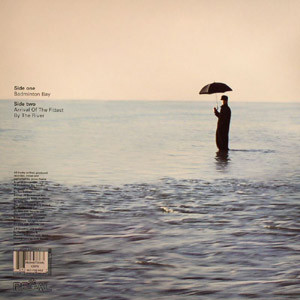 Dibidim - Badminton Bay | Regal (REG 100) - 2