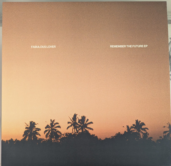 Fabulous Lover - Remember The Future EP | Music For Swimming Pools (MFSP 009) - 2