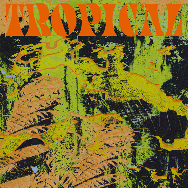 CV Vision - Tropical | South of North (SONLP-005)