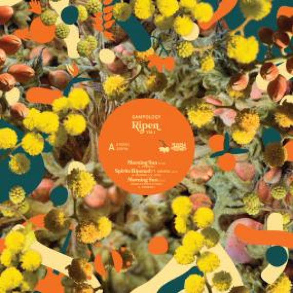 Sampology - Ripen Volume 1 | Middle Name Records (MNR008)