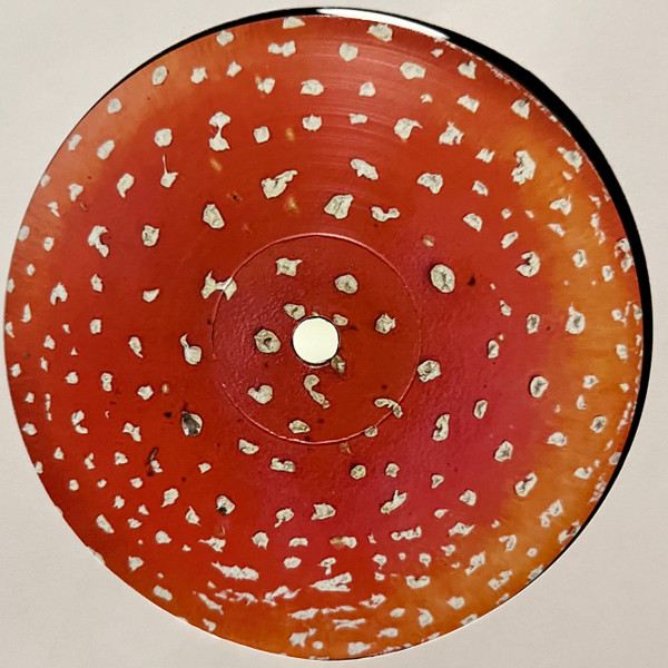 Victor.B - Unipolar EP | Amanita Gems (AMG002) - 2