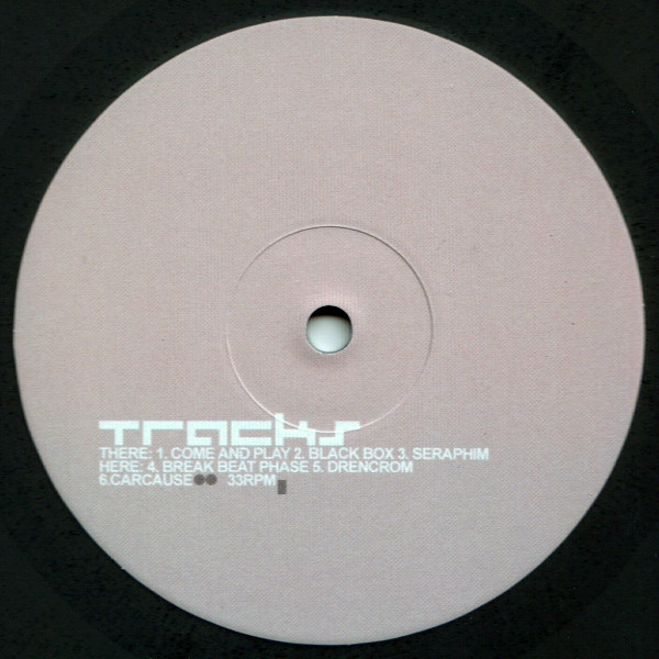 Digitonal - 23 Things Fall Apart | Toytronic (toy 13 lp) - 4
