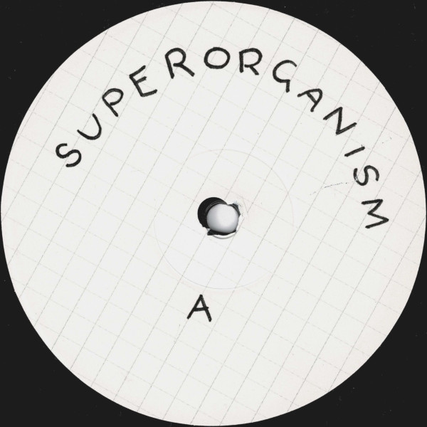 Superorganism - Superorganism | Domino (WIGLP413) - 4