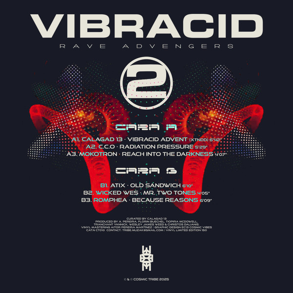 Various - Vibracid 2 · Rave Advengers | Cosmic Tribe (CT 010) - 4