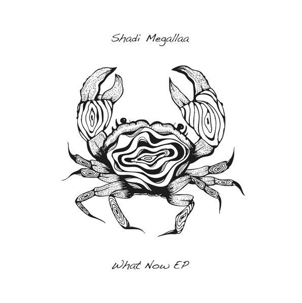 Shadi Megallaa - What Now Ep | Seaweed Rythm (SEAWEED006) - main Shadi Megallaa - What Now Ep | Seaweed Rythm (SEAWEED006) - main