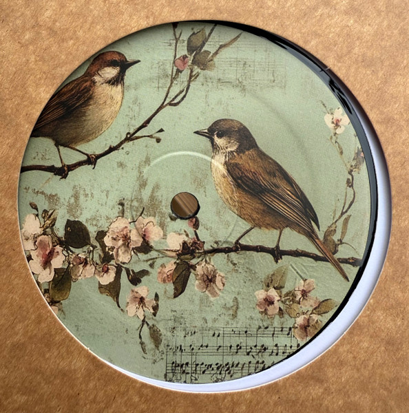 Putsch '79 - Birdz | The Comfort (CMF007) - main