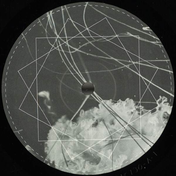 Dana Ruh - Down Is The New Up | Brouqade Records (BQD048)