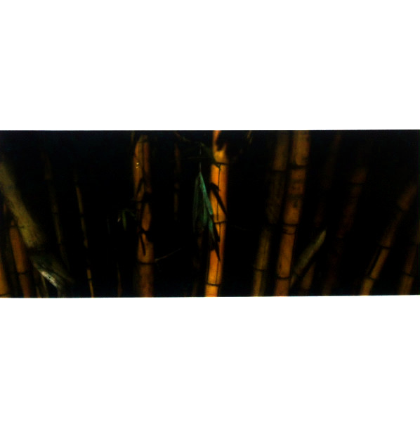 Pris - Love, Labour, Loss | Avian (AVN026) - main