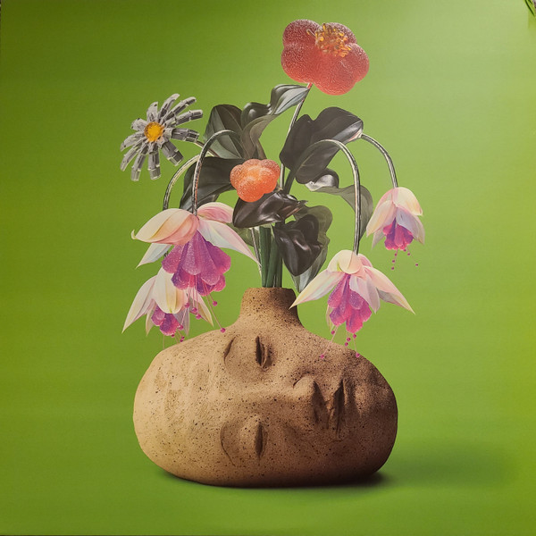 Elephant Gym - Dreams | Topshelf Records (TSR242)