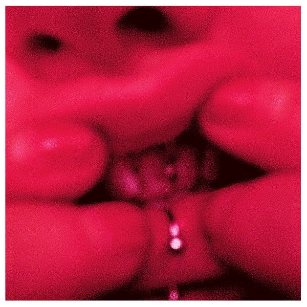 Jessica 93 - Guilty Species | Teenage Menopause Records (TMR025) - main