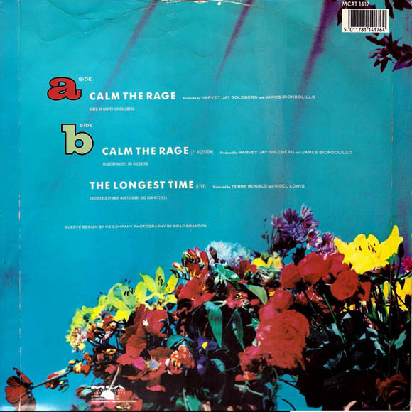 Terry Ronald - Calm The Rage | MCA Records (MCAT 1417) - 2