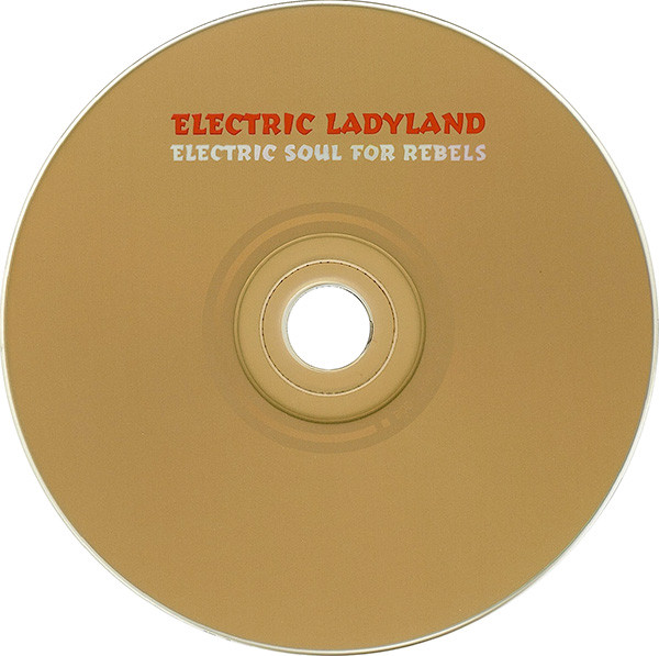Various - Electric Ladyland (Electric Soul For Rebels) | Mille Plateaux (MP 019 CD) - 4