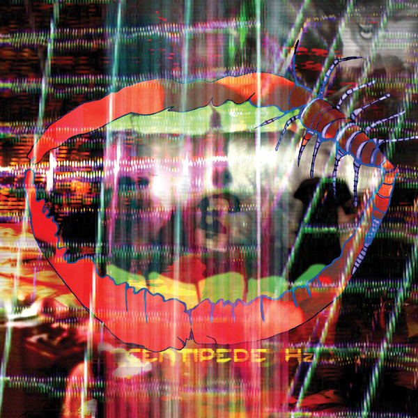 Animal Collective - Centipede Hz | Domino (WIGLP274) - main