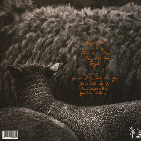Mountain Bike - Too Sorry For Any Sorrow | Teenage Menopause Records (TMR022) - 2