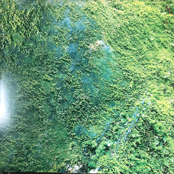 Hum - Inlet (2LP) [Vinyl] | Earth Analog Records (EAR-005) - 2