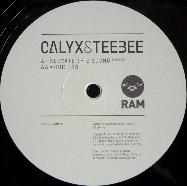 Calyx & TeeBee - Elevate This Sound / Hurting | RAM Records (RAMM 120) - 4