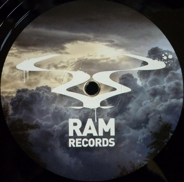 Calyx & TeeBee - Elevate This Sound / Hurting | RAM Records (RAMM 120) - 3