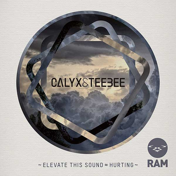 Calyx & TeeBee - Elevate This Sound / Hurting | RAM Records (RAMM 120) - main