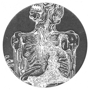 D'Marc Cantu - Some Fantasies Are Good | Forbidden Planet (FP001) - 2 D'Marc Cantu - Some Fantasies Are Good | Forbidden Planet (FP001) - 2