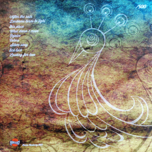 SonLosGrillos - Darkness Turns To Light | Discos Monterey (DM-002LP) - 2