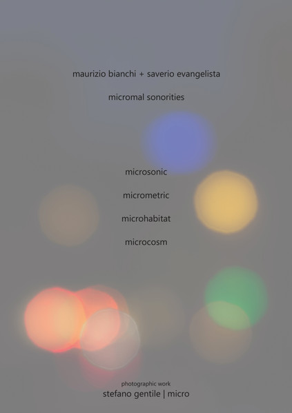 Maurizio Bianchi + Saverio Evangelista - Micromal Sonorities | 13 (sps1508) - main