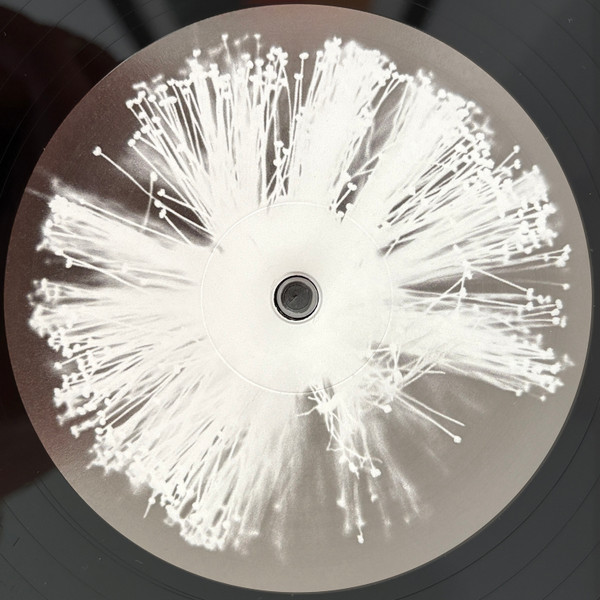 Four Tet - Into Dust (Still Falling) | XL Recordings (XL1554T) - 3 Four Tet - Into Dust (Still Falling) | XL Recordings (XL1554T) - 3