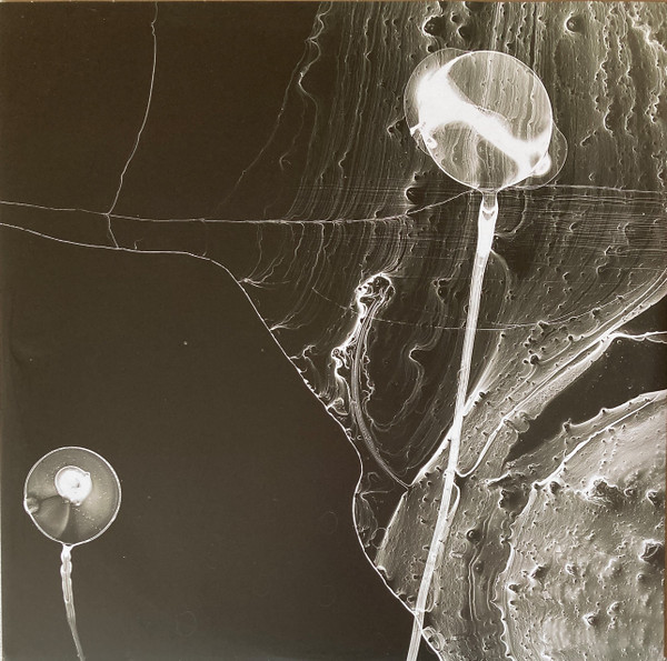 David Sylvian - Camphor II | Virgin EMI Records (752 687-9) - 4 David Sylvian - Camphor II | Virgin EMI Records (752 687-9) - 4