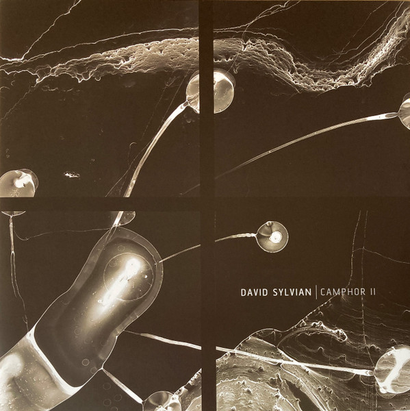 David Sylvian - Camphor II | Virgin EMI Records (752 687-9)