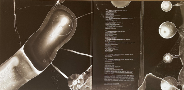 David Sylvian - Camphor II | Virgin EMI Records (752 687-9) - 2 David Sylvian - Camphor II | Virgin EMI Records (752 687-9) - 2