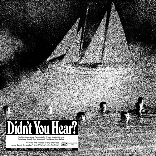 Mort Garson - Didn't You Hear? | Sacred Bones Records (SBR3031)