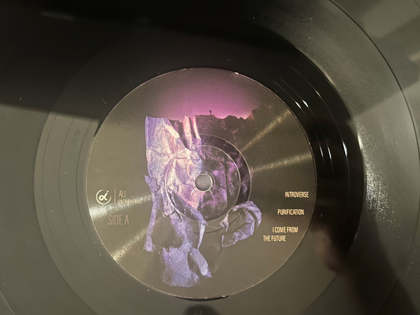 ALI - Introverse | Not On Label (none) - 4 ALI - Introverse | Not On Label (none) - 4