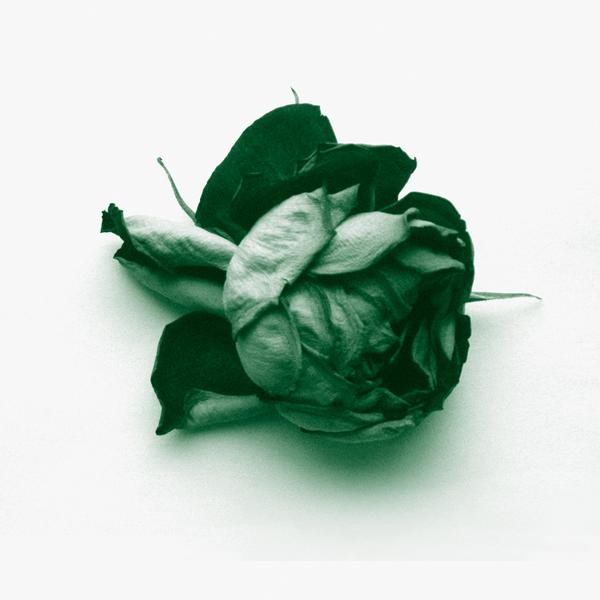 Télépopmusik - Love Can Damage Your Health (Abicah Soul / Dennis Ferrer Remix) | Objektivity (OBJ003) - main Télépopmusik - Love Can Damage Your Health (Abicah Soul / Dennis Ferrer Remix) | Objektivity (OBJ003) - main