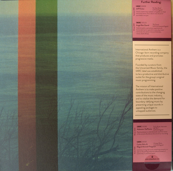 Carlos Niño & Friends - More Energy Fields, Current | International Anthem Recording Company (IARC0040) - 2
