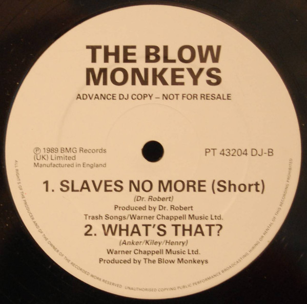 The Blow Monkeys Featuring Sylvia Tella - Slaves No More (Remix) | RCA (PT 43204 DJ) - 2