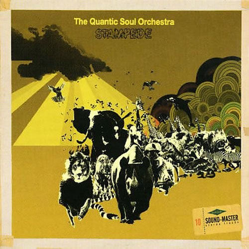 The Quantic Soul Orchestra - Stampede | Tru Thoughts (TRULP029)