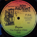 Brizion - The Wisdom / The Positive Vibes | Jah Militant Records (JMR 007) - 2
