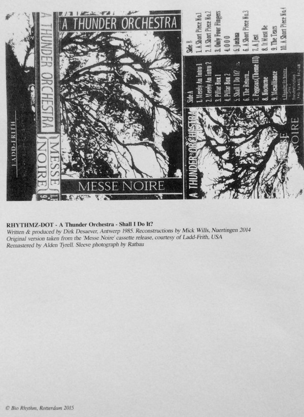 A Thunder Orchestra - Shall I Do It? | Bio Rhythm (RHYTHMZ-DOT) - 2 A Thunder Orchestra - Shall I Do It? | Bio Rhythm (RHYTHMZ-DOT) - 2